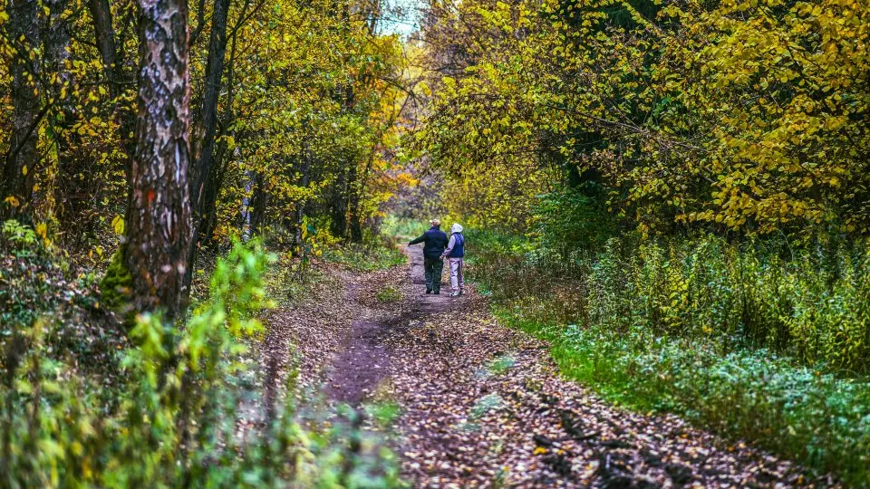 Фото: REGIONS/Владимир Ерастов