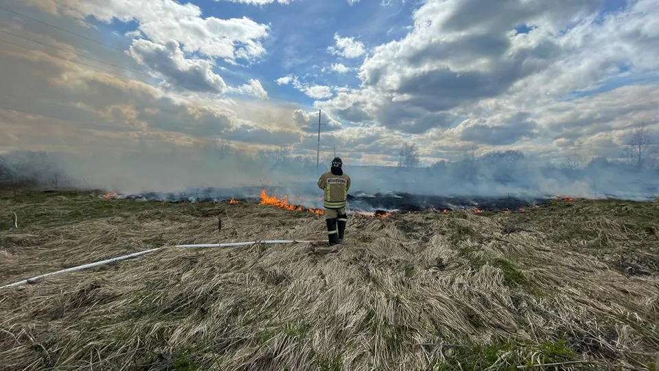 Фото: МедиаБанк Подмосковья/Татьяна Рунова