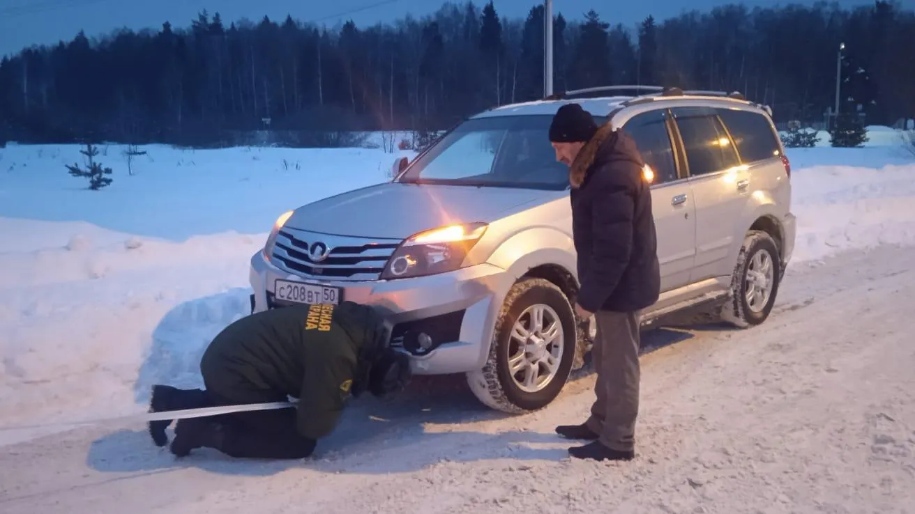 Комлесхоз Московской области