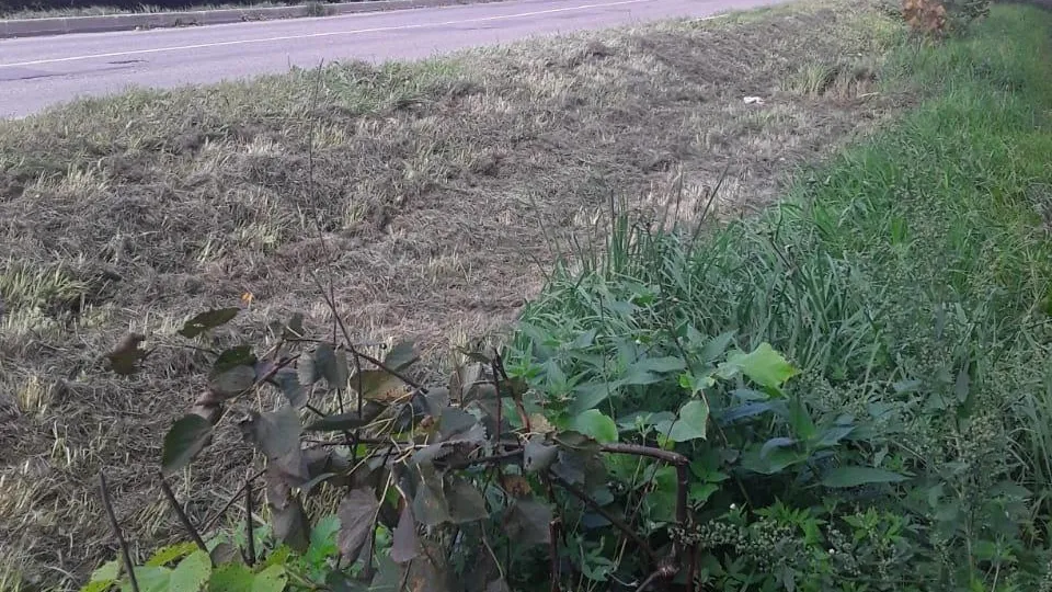 Фото: Химик 2.0 / Вконтакте