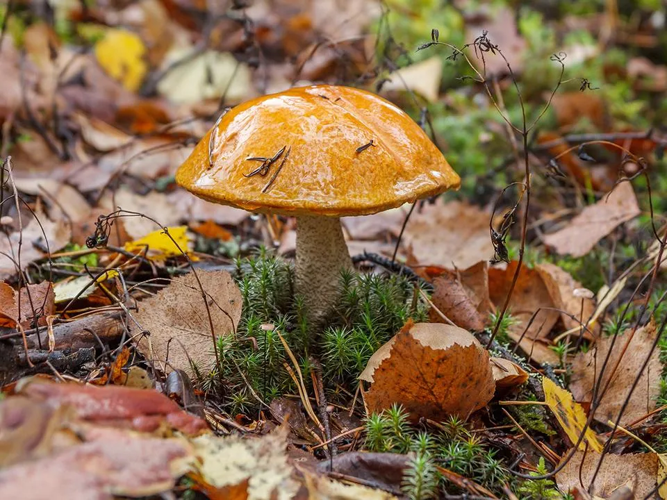 Фото: istockphoto.com