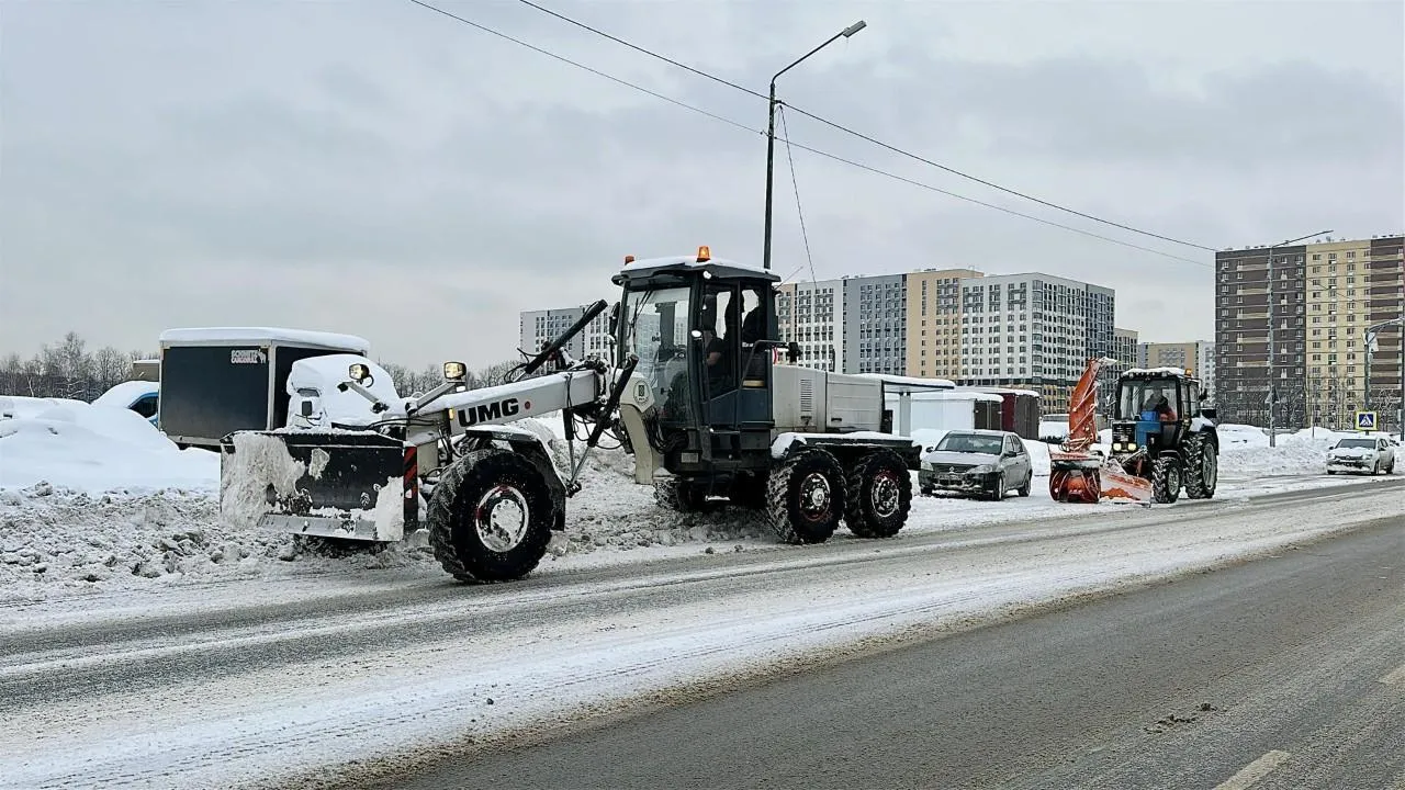 REGIONS/Кристина Тришина