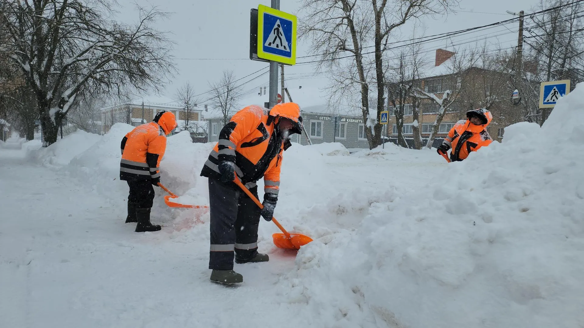 МедиаБанк Подмосковья/Юлия Андросова