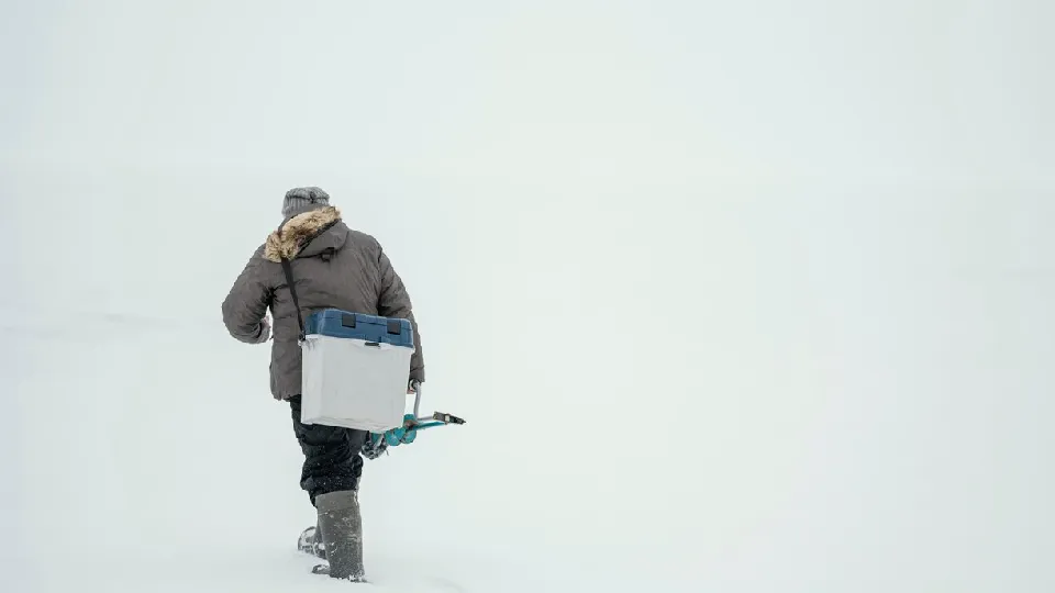 Фото: freepik.com