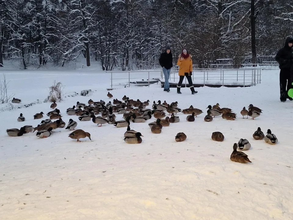 Фото: Виктория Фортуна