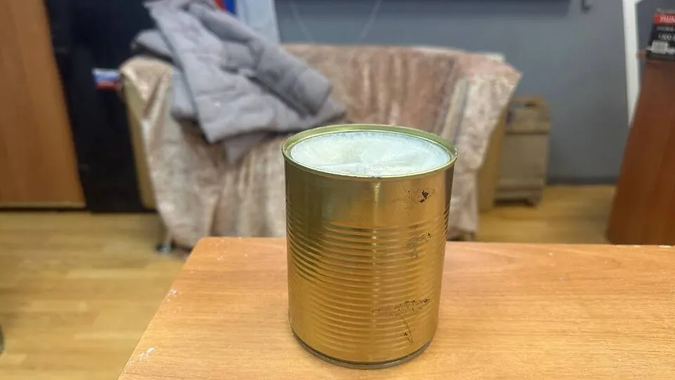 Фото: МедиаБанк Подмосковья/Эдуард Стратонов