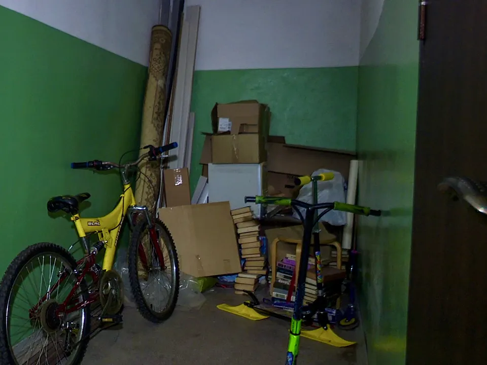 Фото: МедиаБанк Подмосковья/Данила Кирьянов