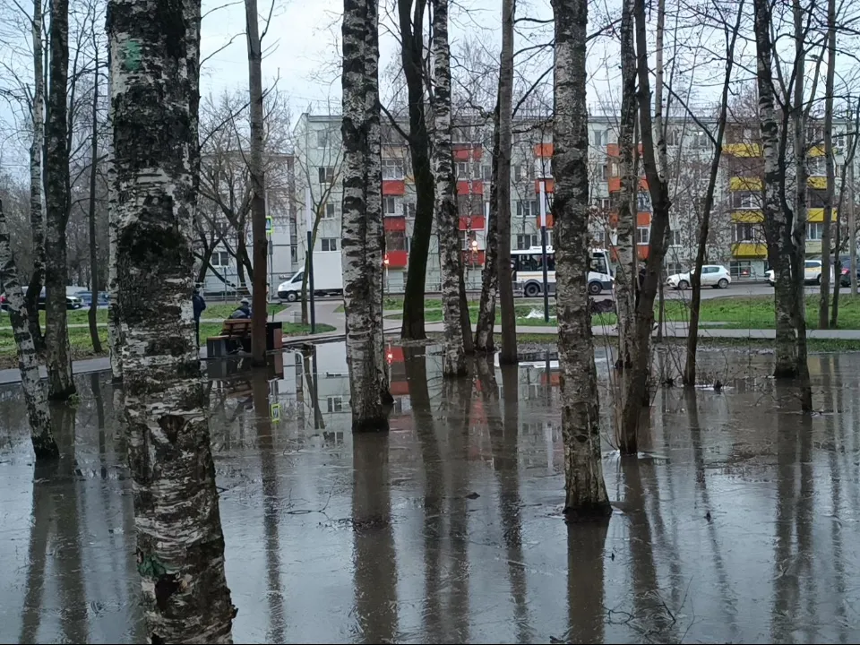 Фото: МедиаБанк Подмосковья/Екатерина Федосеева