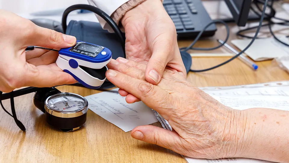 Фото: МедиаБанк Подмосковья/Наталья Лымарь