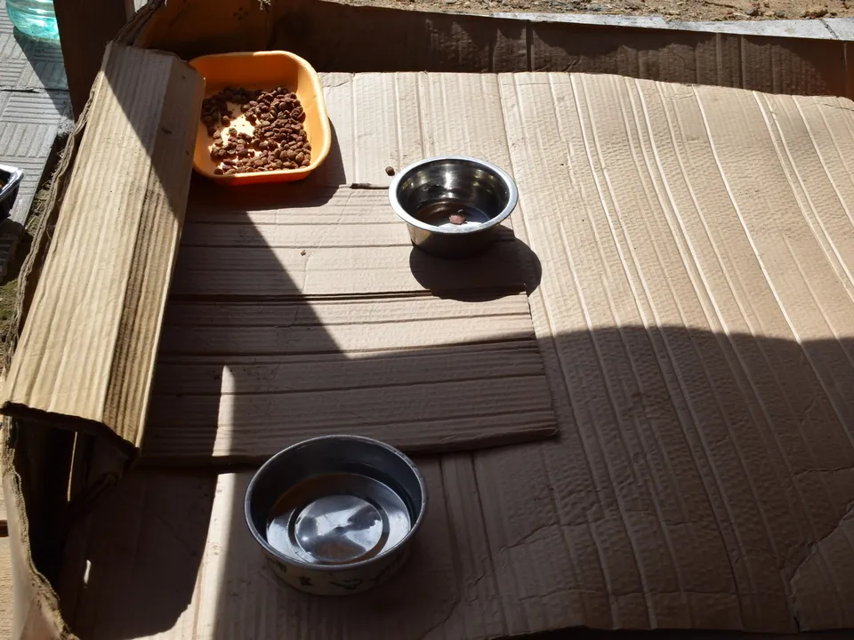 Фото: REGIONS/Александра Никитина