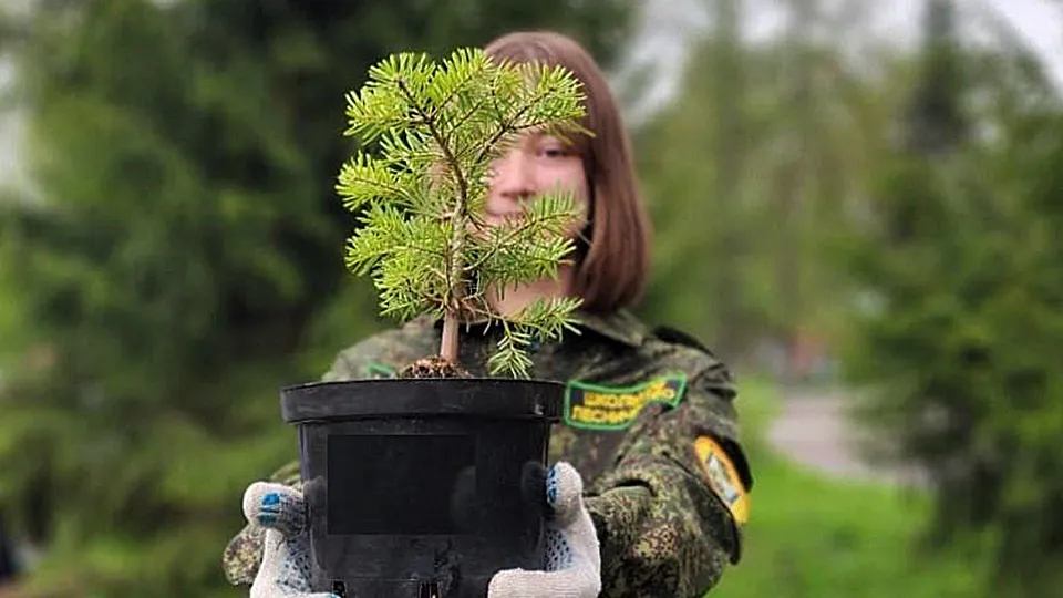 Фото: комитет лесного хозяйства Московской области