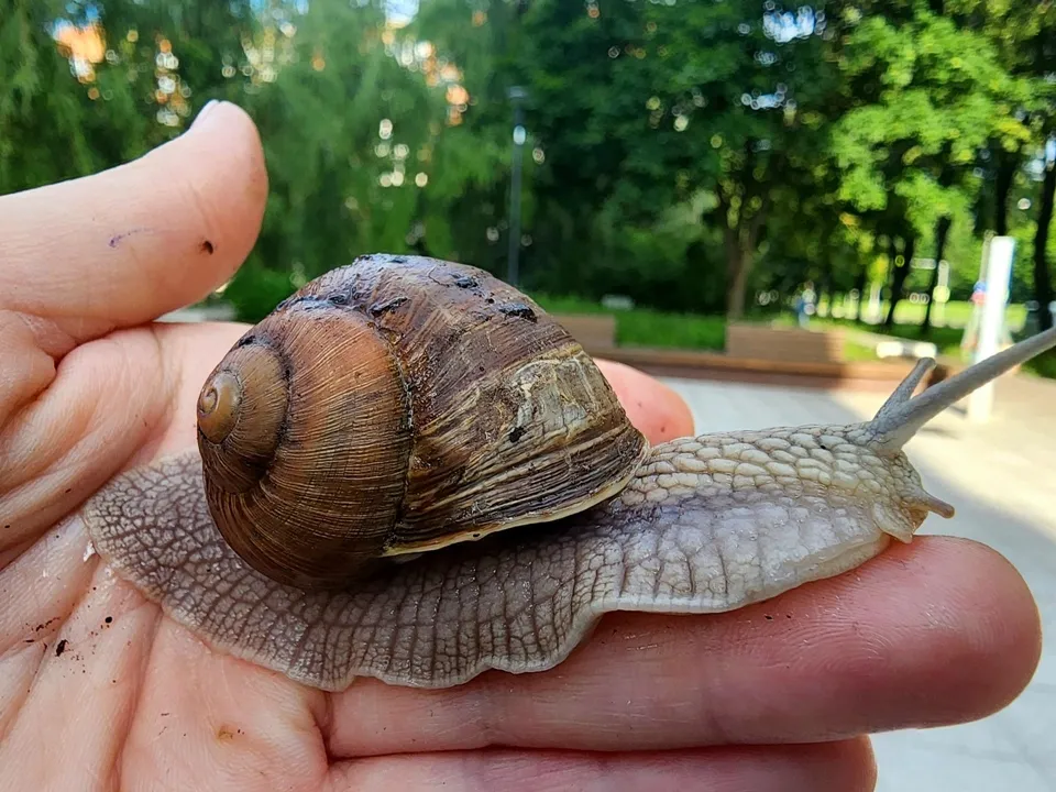 Фото: REGIONS/Мария Панина