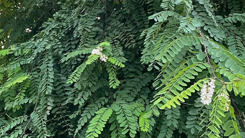 фото: соцсети