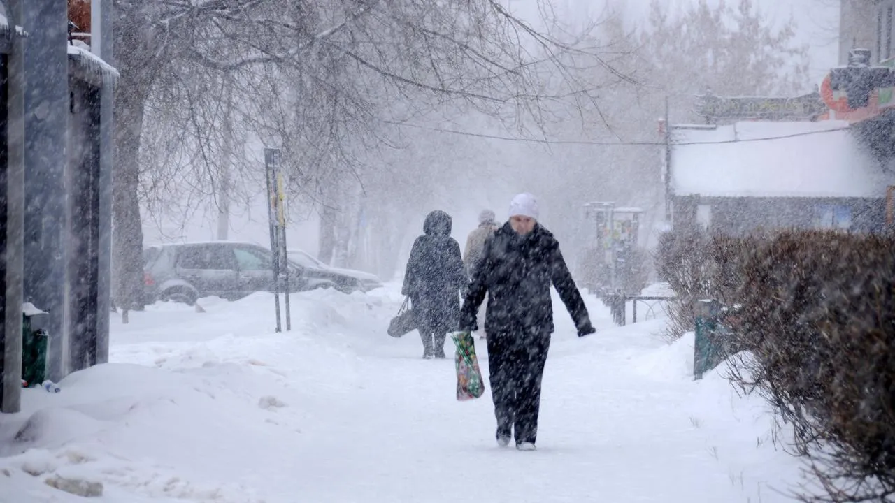 медиасток.рф