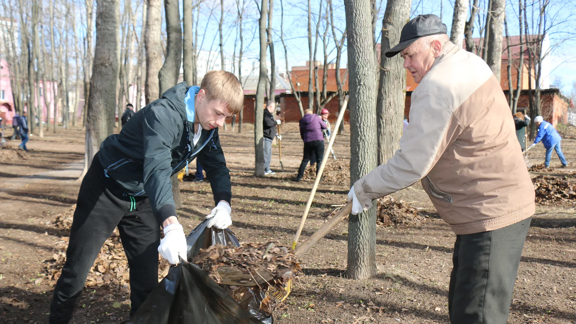Фото: медиасток.рф