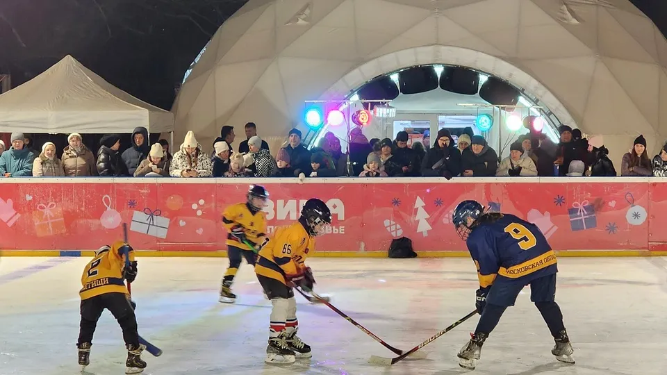 Фото: МедиаБанк Подмосковья/Валерия Исаева