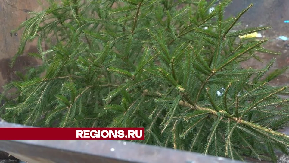 Фото: Юлия Андросова