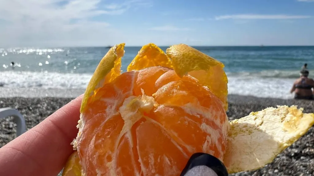 Фото: REGIONS/Елена Фурман