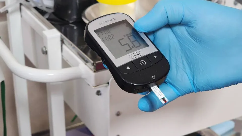 Фото: МедиаБанк Подмосковья/Мария Шигорева