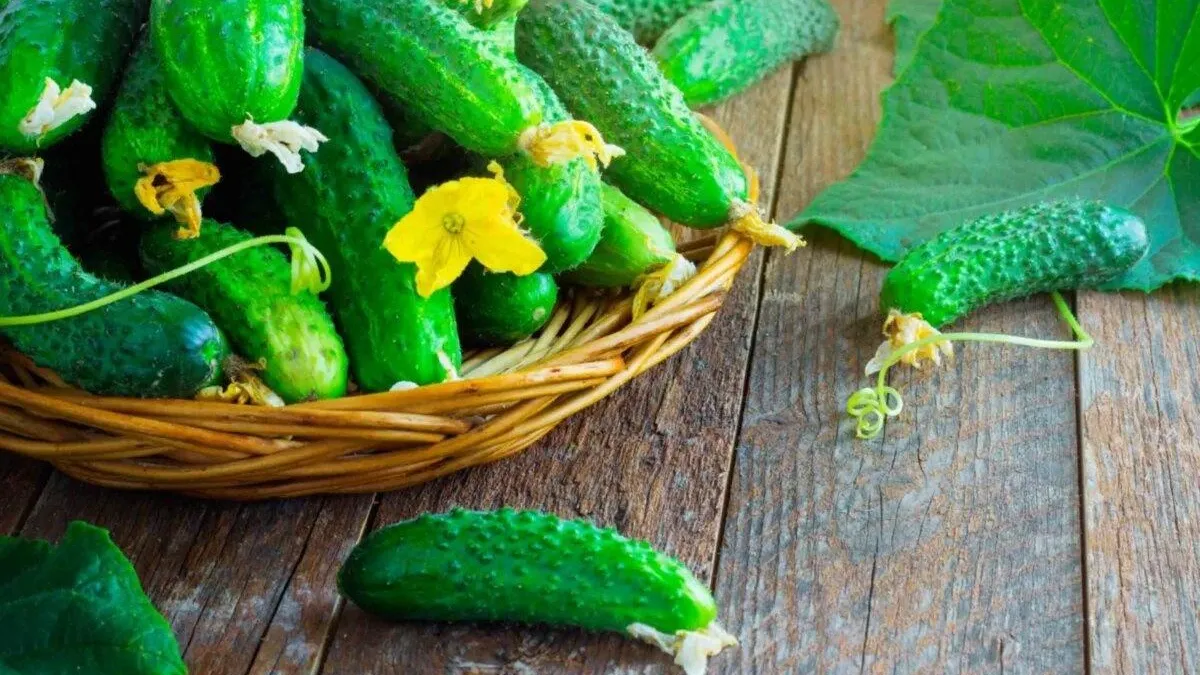 Фото https://msk.selhozproduct.ru/