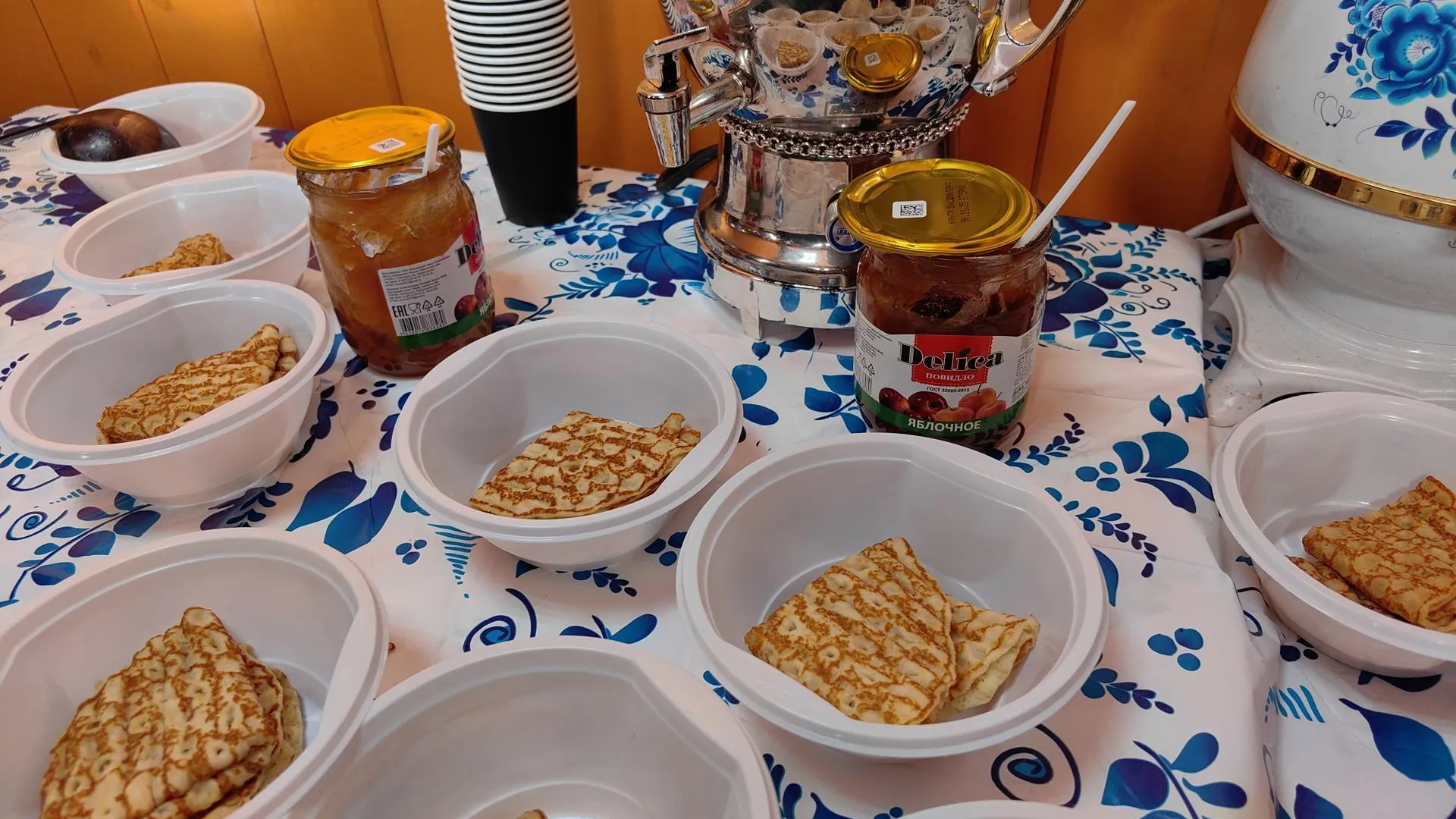 Елена Катасонова