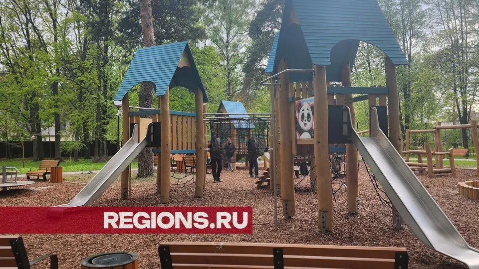 Фото: REGIONS/Валерия Исаева