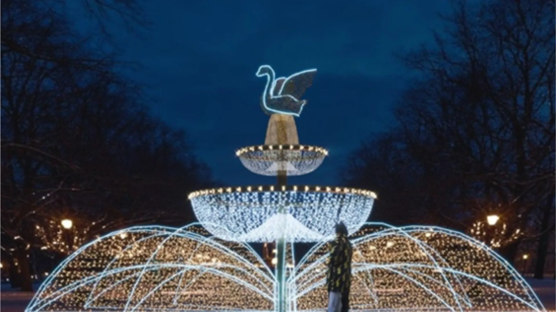 Фото: пресс-служба администрации г.о. Долгопрудный