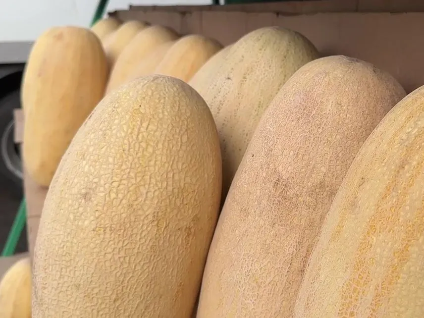 Фото: МедиаБанк Подмосковья/Ксения Казакова