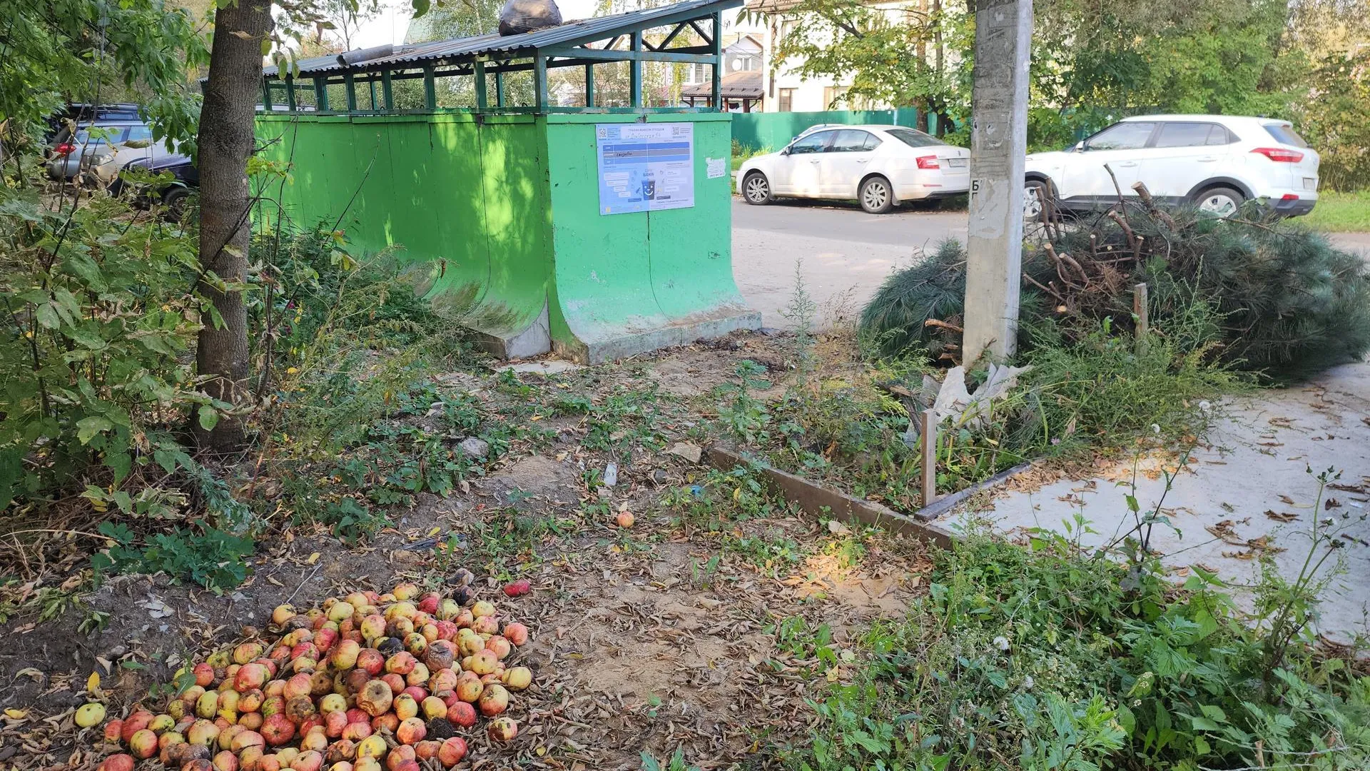 Фото: Галина Добрынина