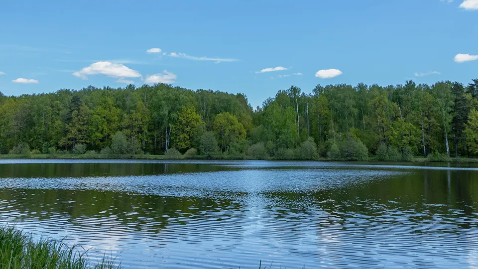 Фото: Антон Кондратюк