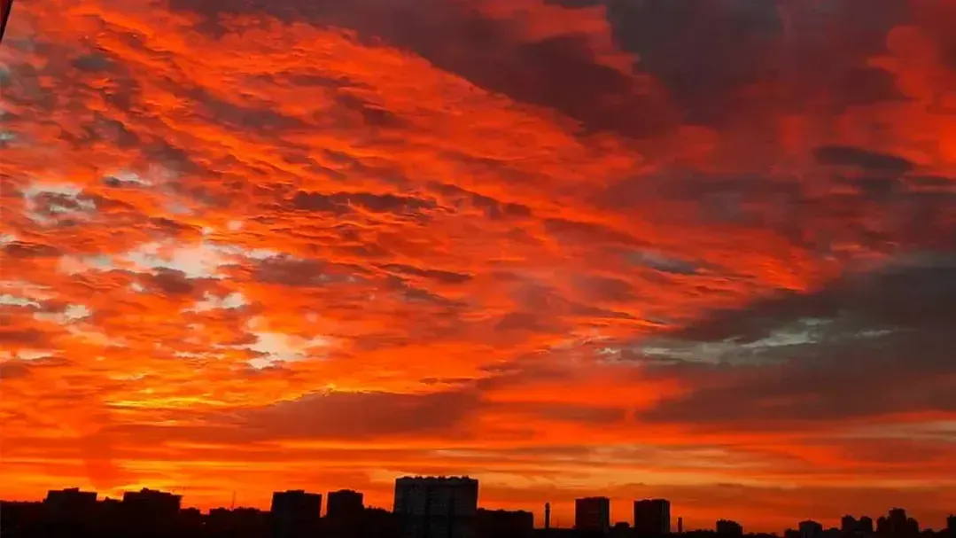 REGIONS/Роман Малышенко