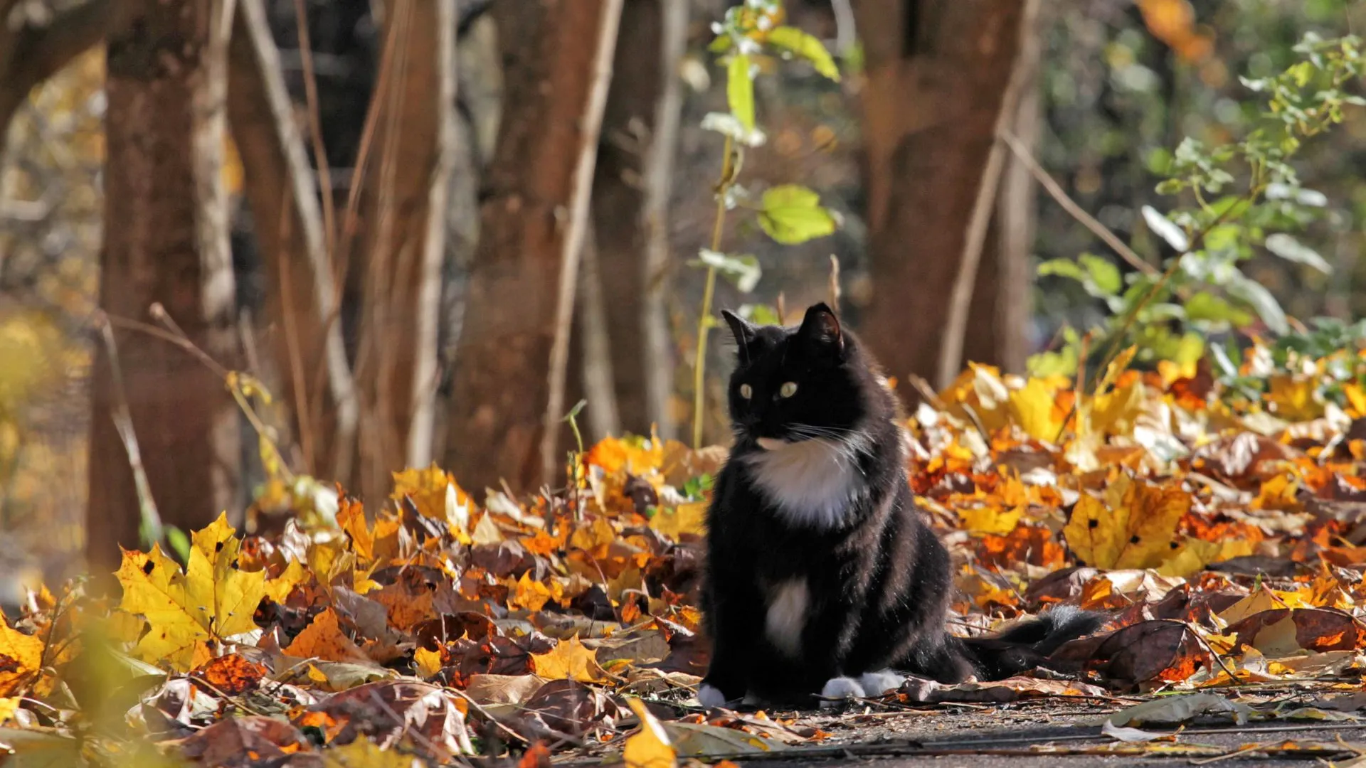 Фото: Ангелина Максимова