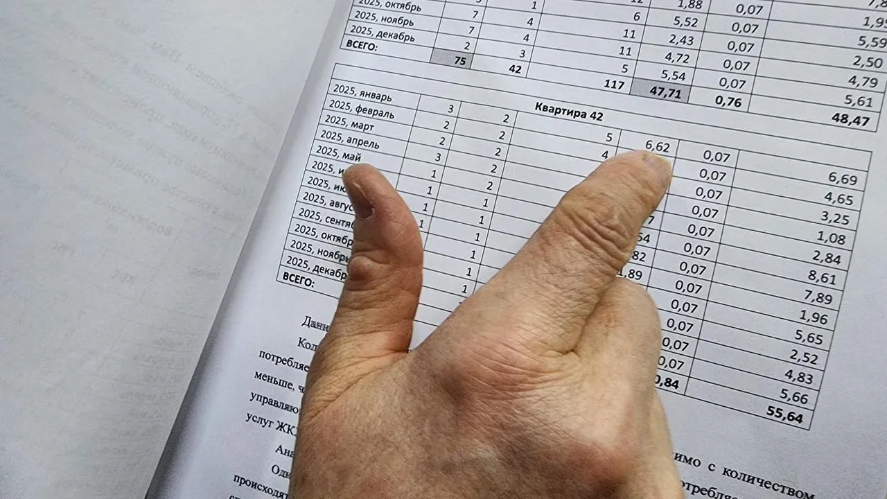 МедиаБанк Подмосковья/Валерия Исаева