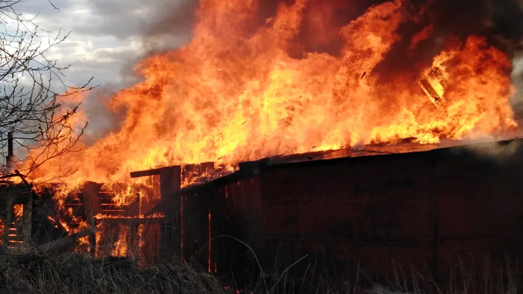 Фото: unsplash.com