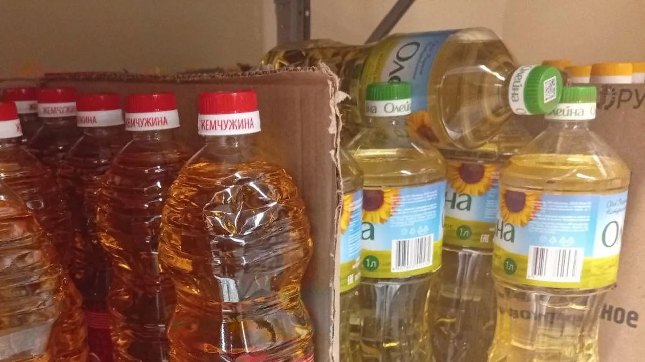 REGIONS/Дмитрий Роман