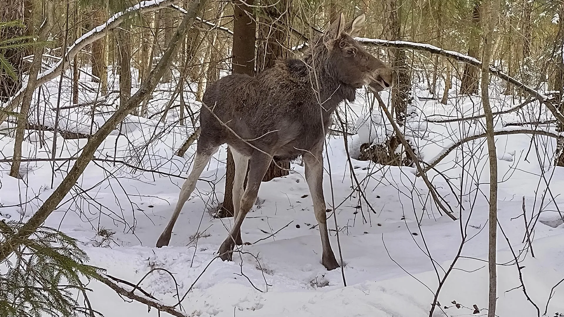 Фото Минэкологии