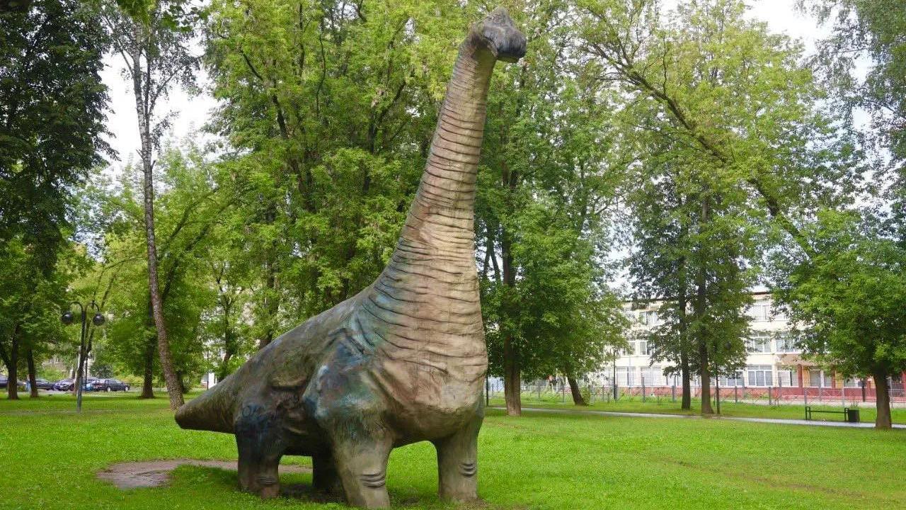 Фото: пресс-служба Администрации г.о. Серпухов