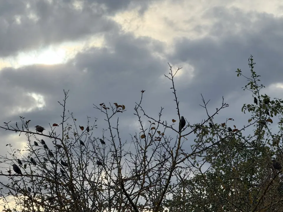 Фото: REGIONS/Илья Попов