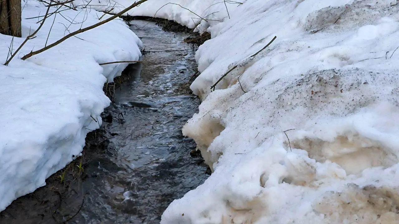 REGIONS/Роман Малышенко