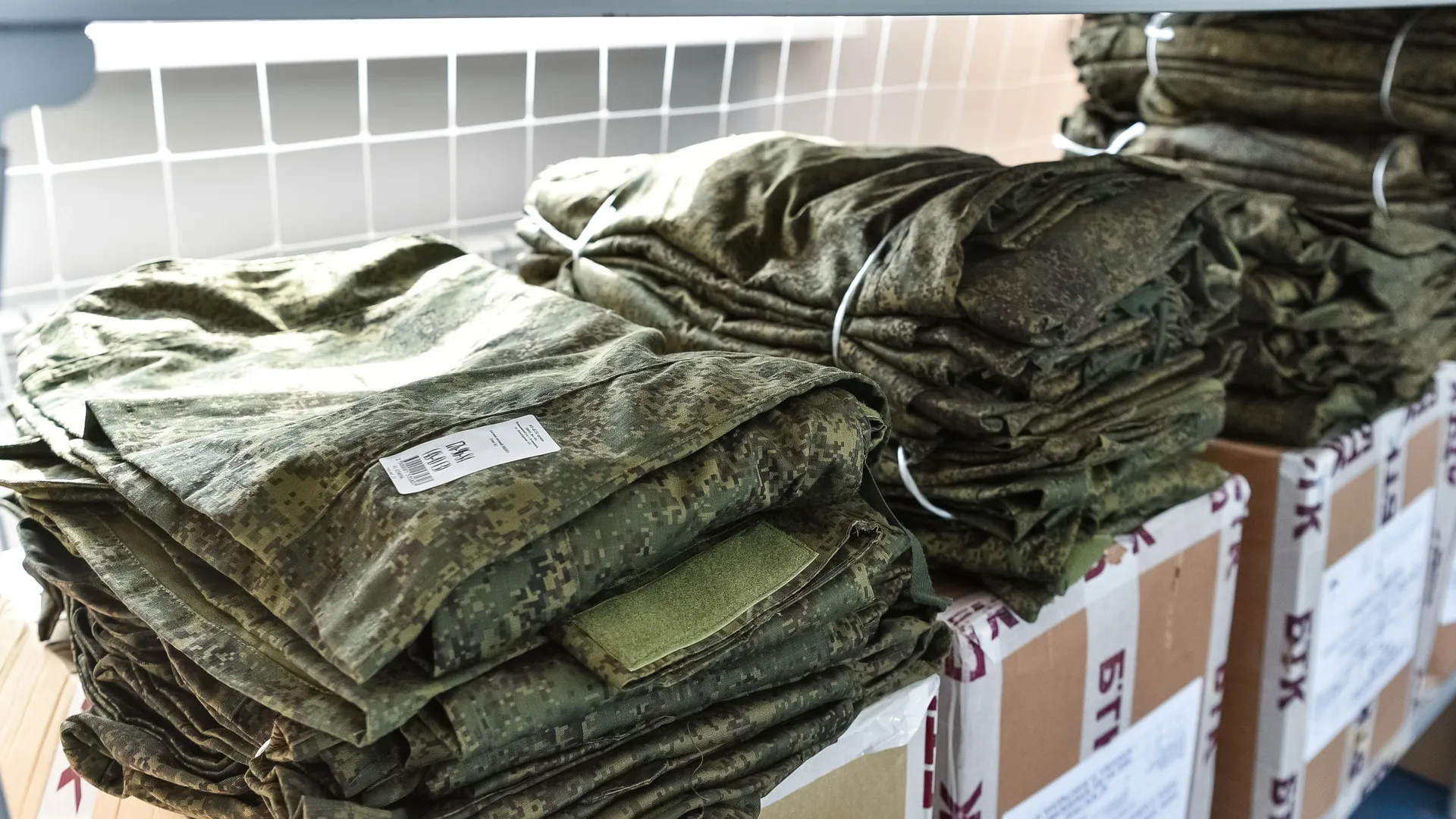 Фото: пресс-служба губернатора и правительства Московской области