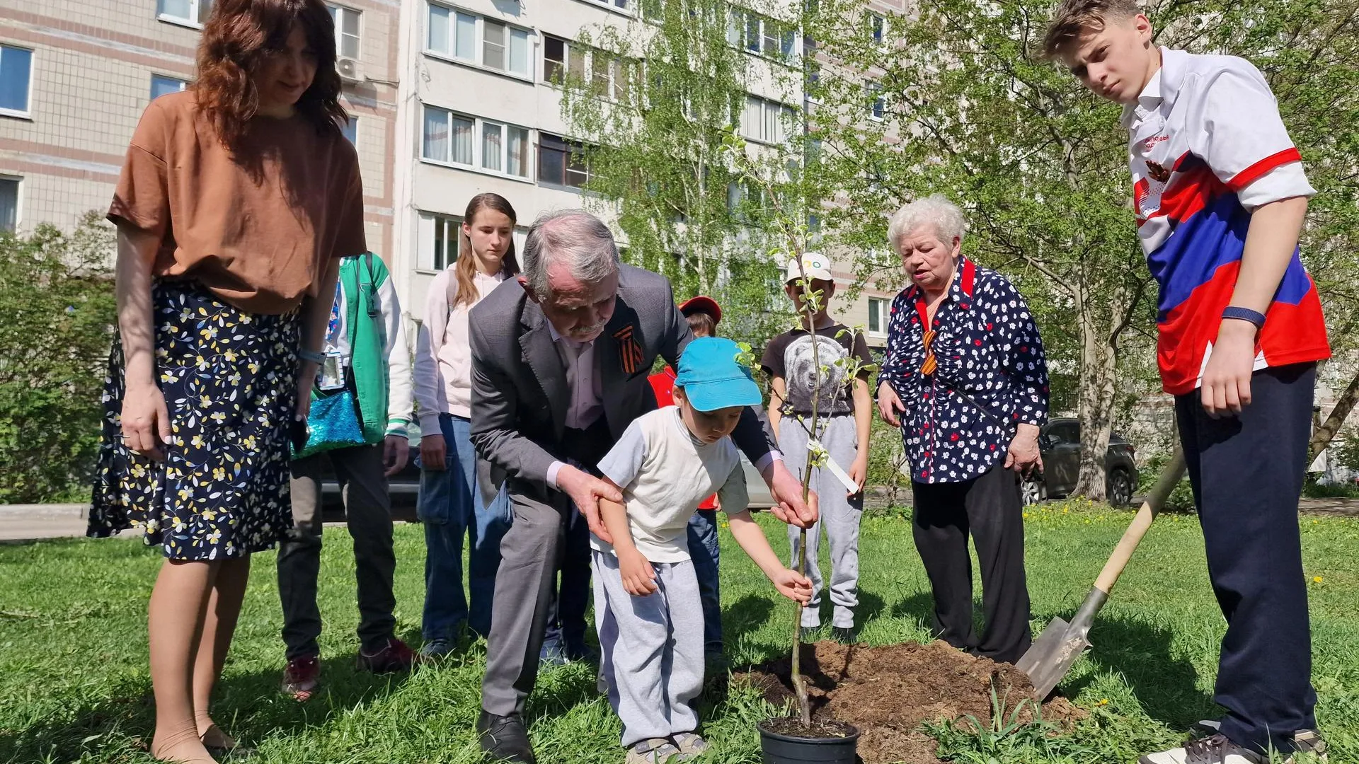 Картинка