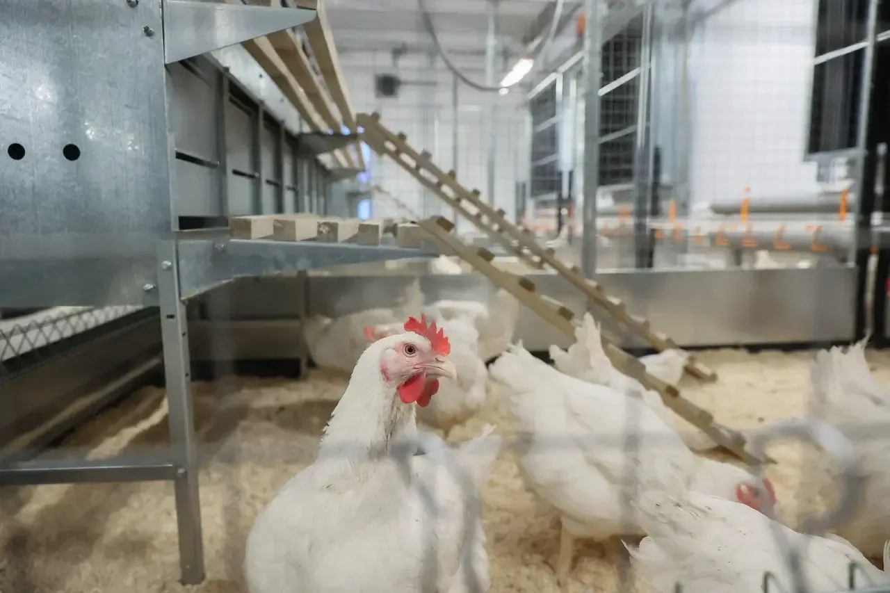 Фото: пресс-служба губернатора Московской области