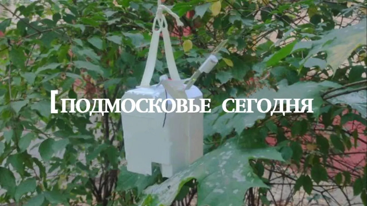 «Проводки торчат»: в одном из дворов Люберец приземлился неопознанный летающий объект