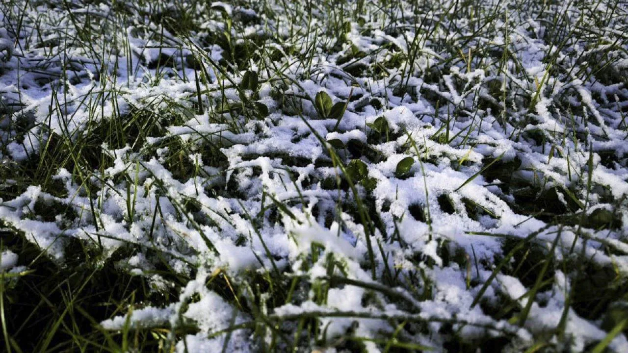 REGIONS/Роман Малышенко