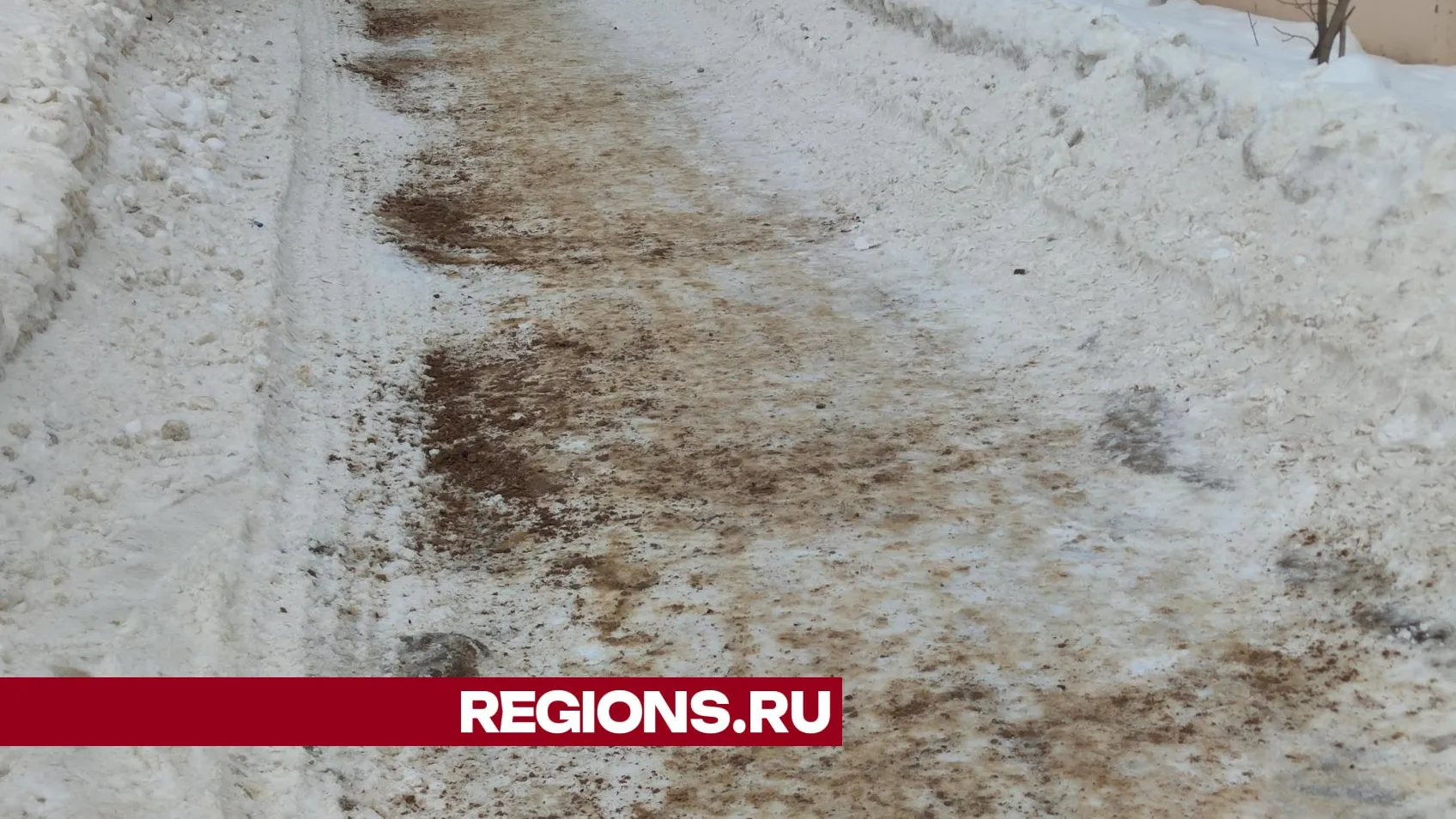 фото: Арина Кузнецова