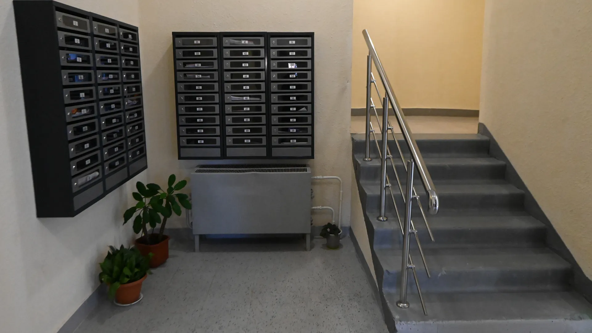 Медиаархив Подмосковья