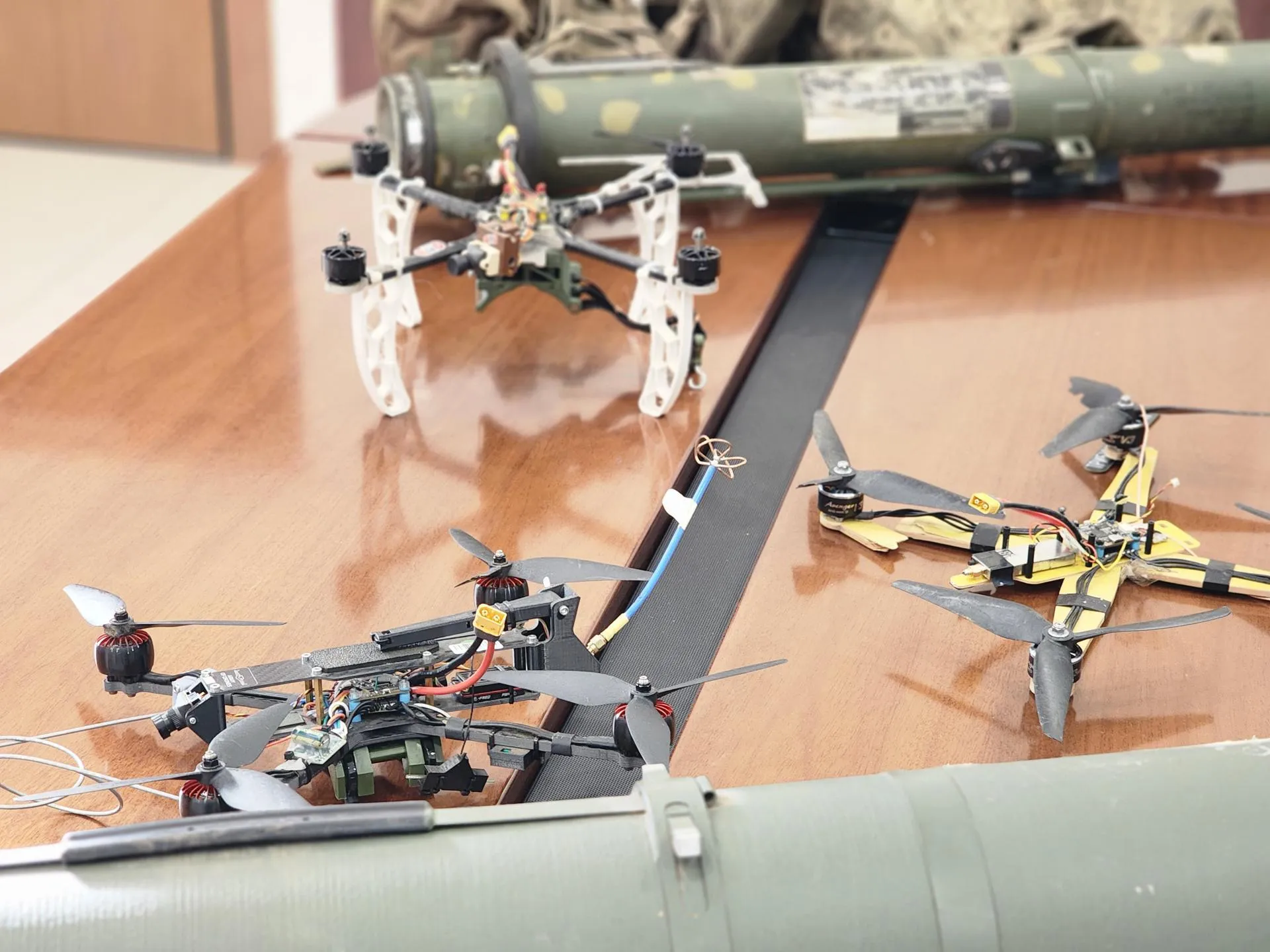 REGIONS/Полина Пахомова