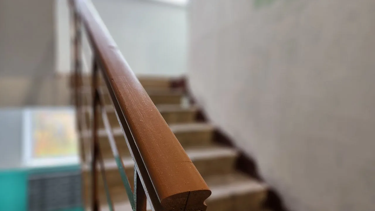 Фото: МедиаБанк Подмосковья/Яна Шаливская