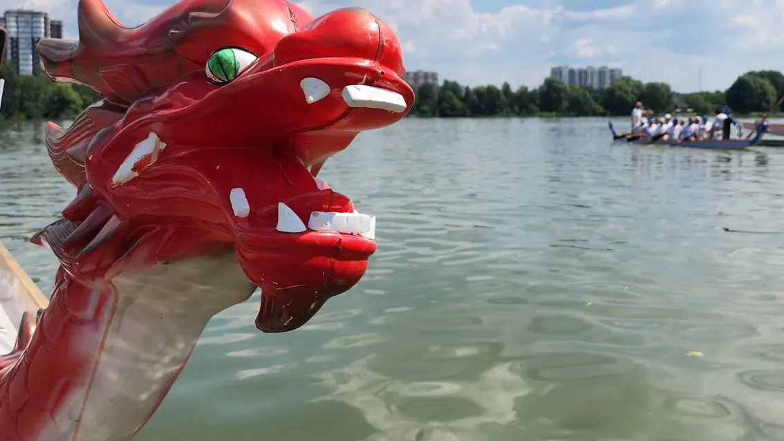 Фото: Ксения Пашуто