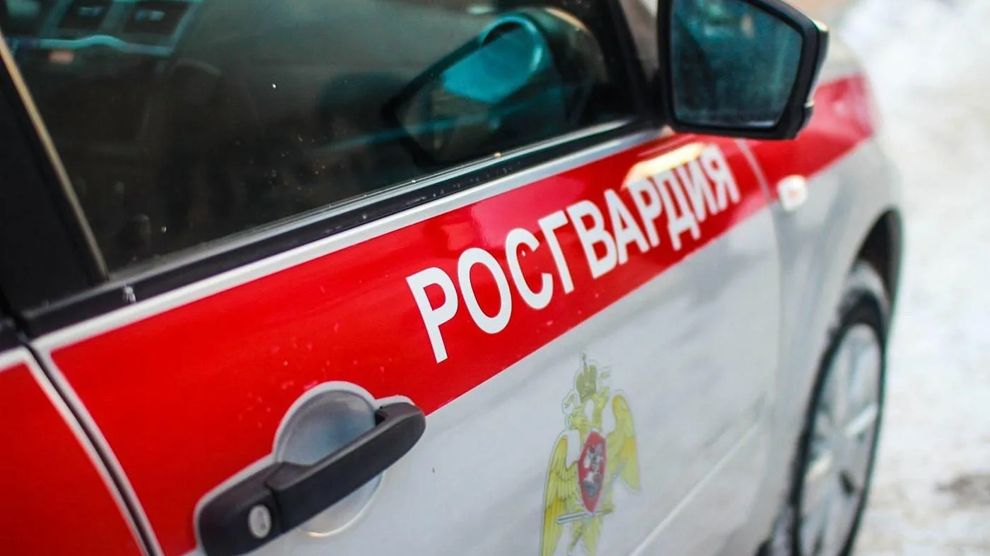 Фото: «Типичное Щелково»